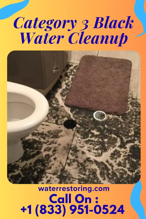 Category 3 Black Water Cleanup in Kettlersville, OH