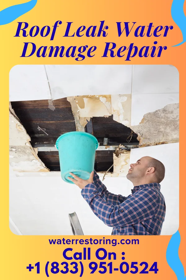 Roof Leak Water Damage Repair in Kettlersville, OH