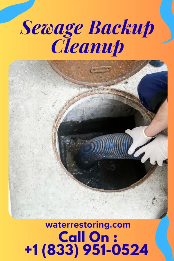 Sewage Backup Cleanup in Kettlersville, OH
