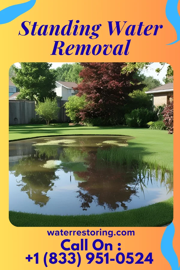 Standing Water Removal in Kettlersville, OH